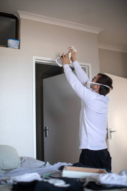 Best Mold Removal for HVAC Installations  in Fort Payne, AL