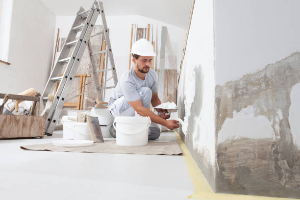 Best Mold Damage Restoration  in Fort Payne, AL