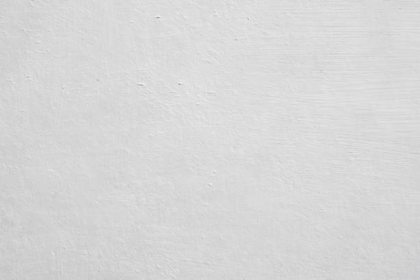 Professional Mold Removal in Fort Payne, AL