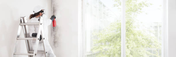 Best Real Estate Mold Inspection  in Fort Payne, AL